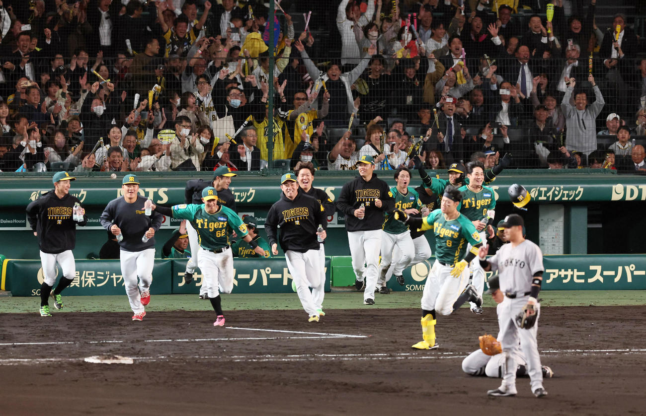 阪神対巨人　10回裏阪神無死満塁、サヨナラ右適時打を放った佐藤輝のもとへ駆け出すナイン（撮影・加藤哉）