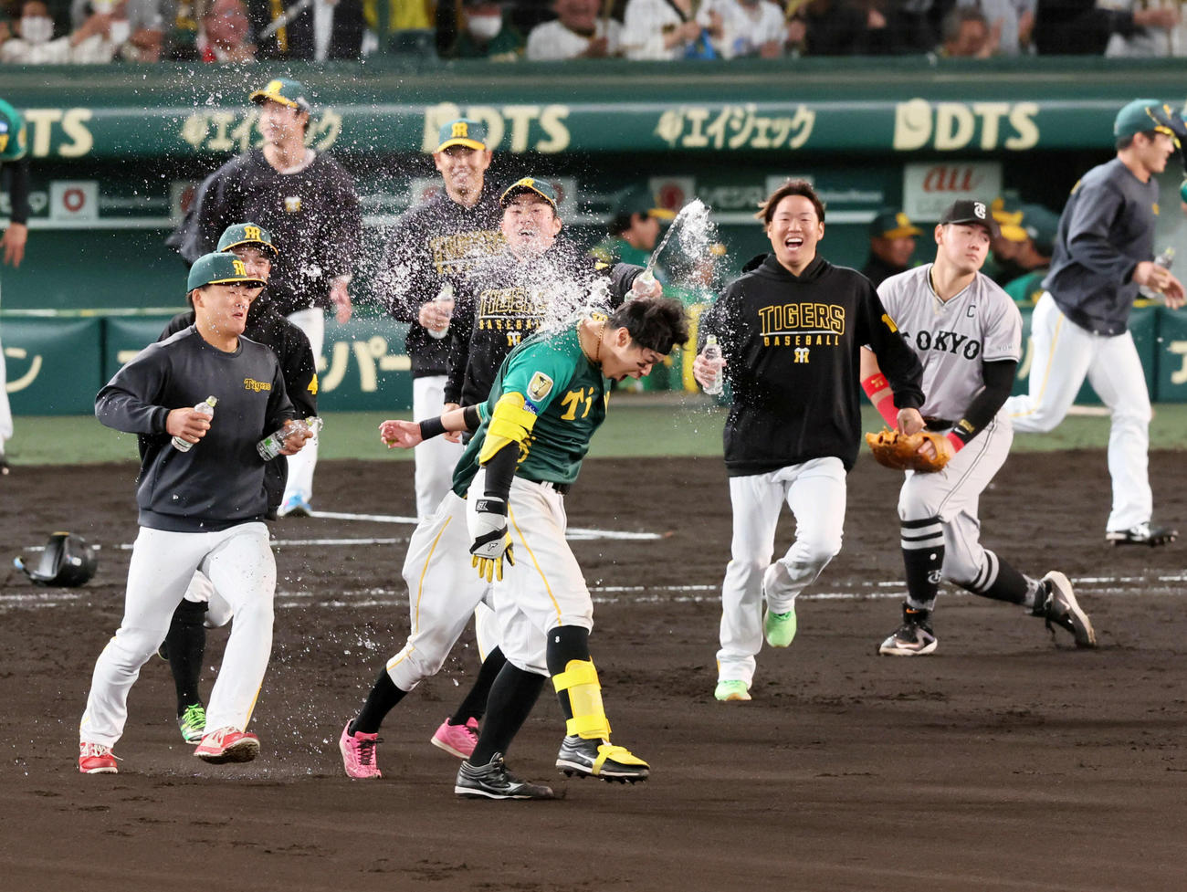 10回裏阪神無死満塁、サヨナラ右適時打を放った佐藤輝（中央）はチームメートに祝福のウオーターシャワーをかけられる（撮影・加藤哉）