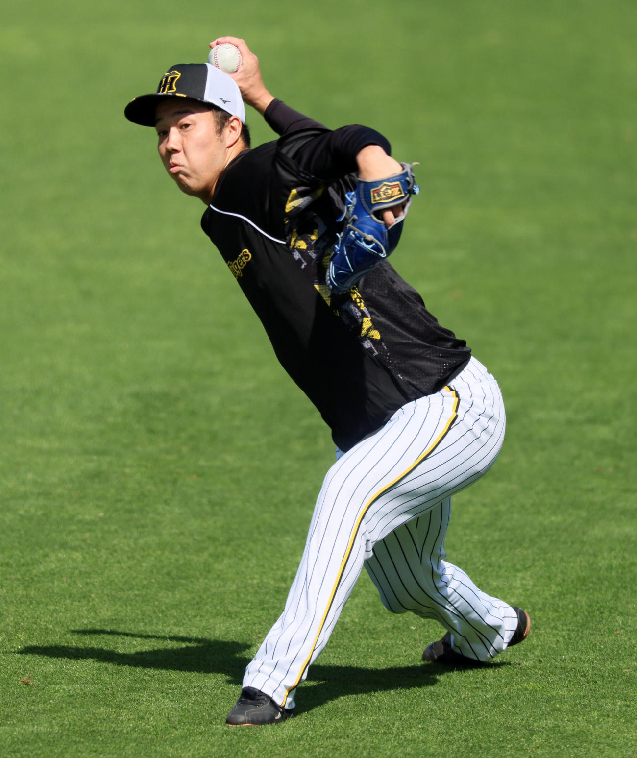 阪神対中日　練習でキャッチボールする青柳（撮影・加藤哉）