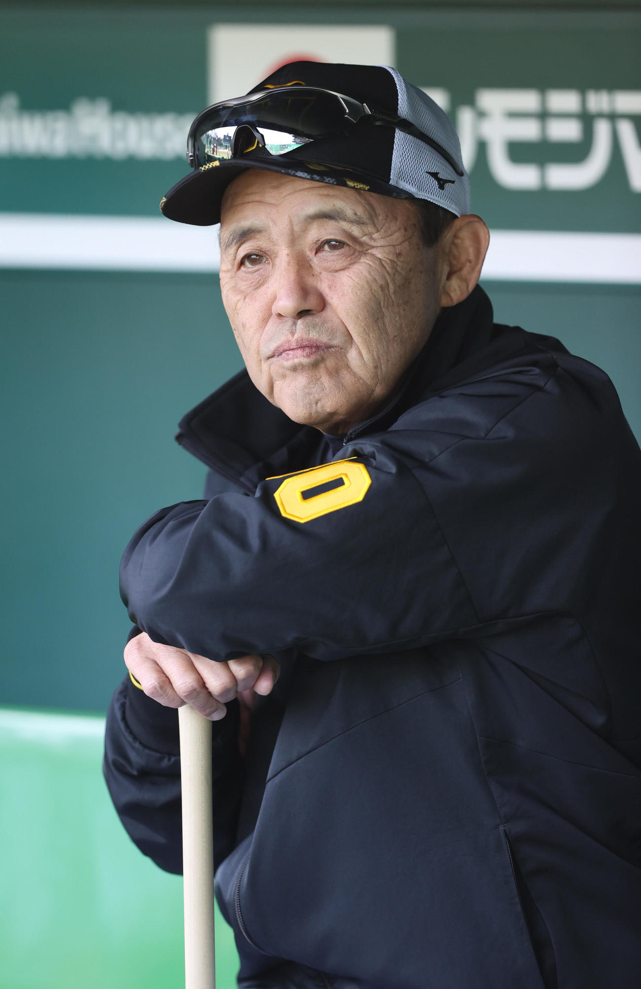 阪神対中日　試合前の練習をベンチから見つめる阪神岡田監督（撮影・上山淳一）