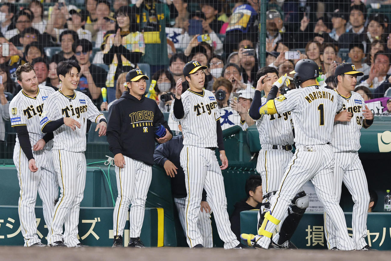 阪神対中日　3回裏阪神1死、左越えに本塁打を放った森下を出迎える青柳（中央）ら阪神ナイン（撮影・藤尾明華）