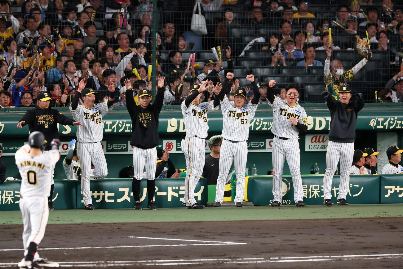 阪神対中日　2回裏阪神1死満塁、木浪の右適時打で先制点を挙げベンチ前で喜ぶナイン（撮影・加藤哉）