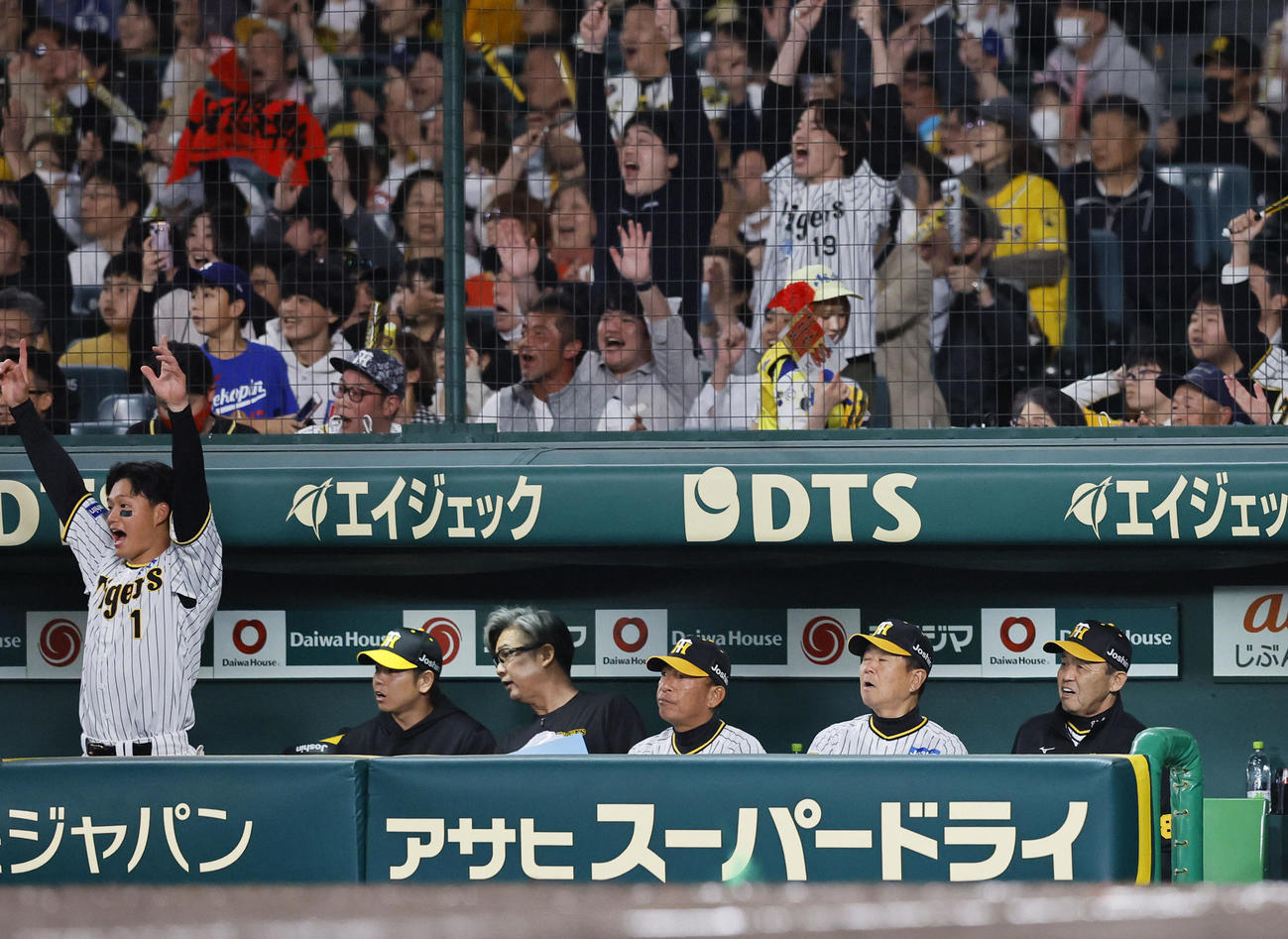 阪神対中日　5回裏阪神1死、大山の中越え本塁打の打球を見つめる岡田監督（右端）（撮影・藤尾明華）