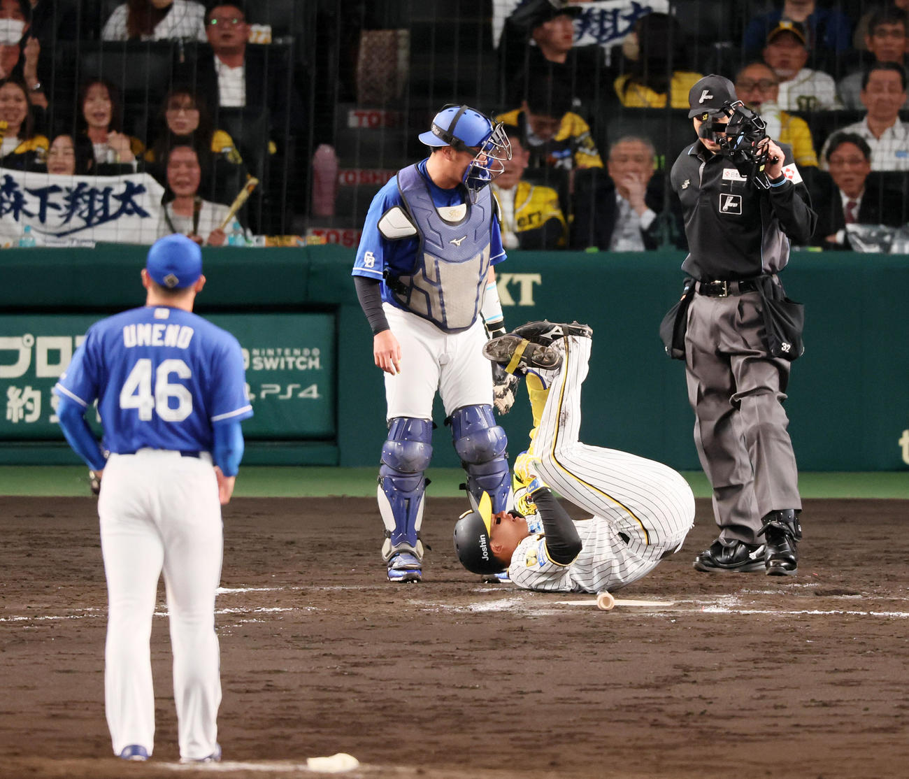阪神対中日　7回裏阪神1死、森下は自打球を当て本塁上に転倒（撮影・加藤哉）