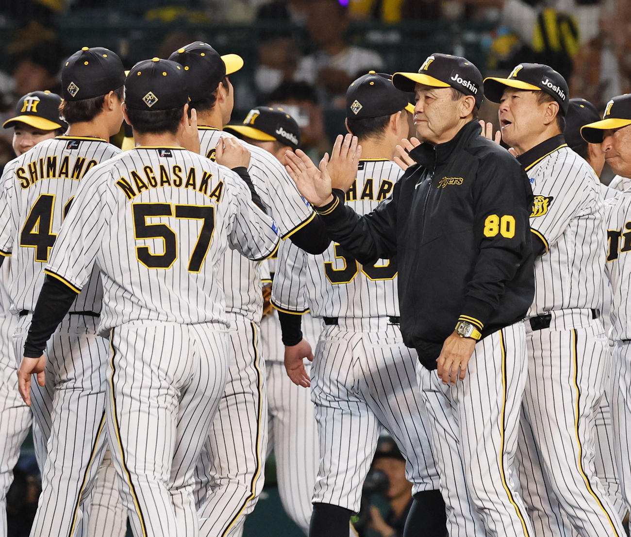 阪神対中日　中日に勝利し、青柳らとタッチを交わす阪神岡田監督（右から2人目）（撮影・藤尾明華）