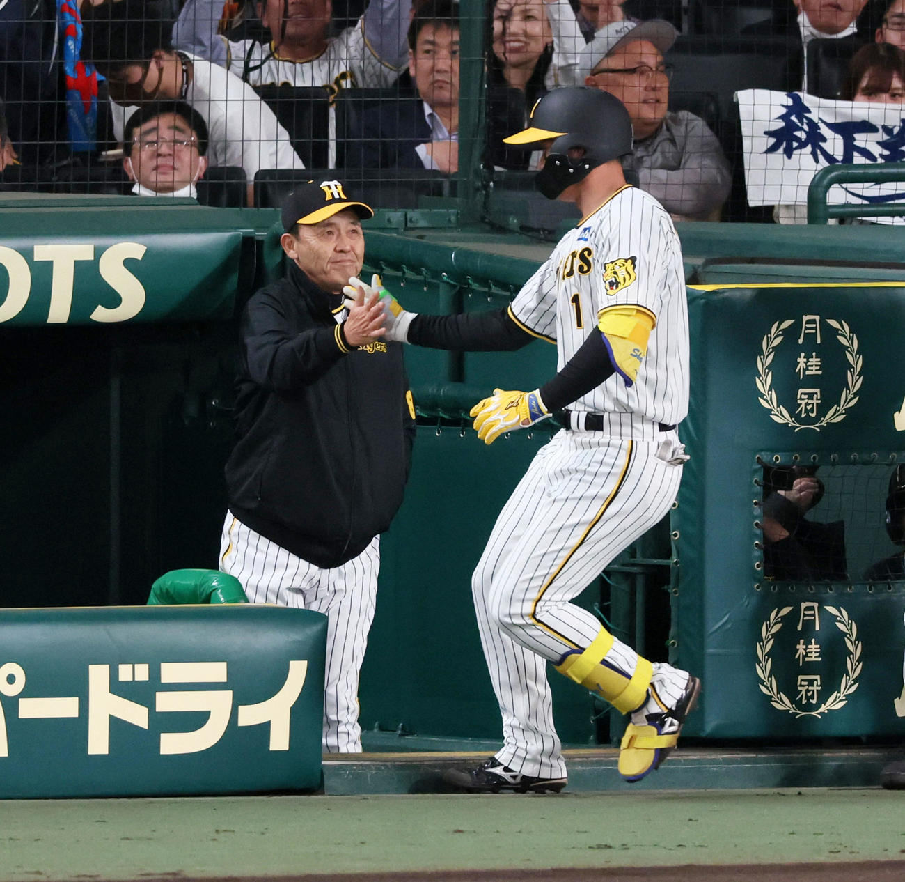 阪神対中日　3回裏阪神1死、岡田監督（左）は左越えソロ本塁打を放った森下をタッチで迎える（撮影・加藤哉）