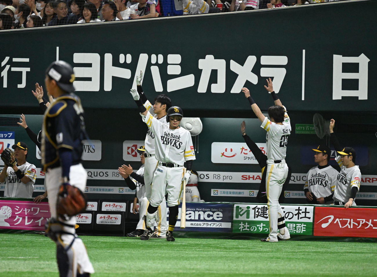 ソフトバンク対オリックス　2回裏、ソフトバンク　緒方のプロ初安打に歓喜するホークスナイン（撮影・林敢治）