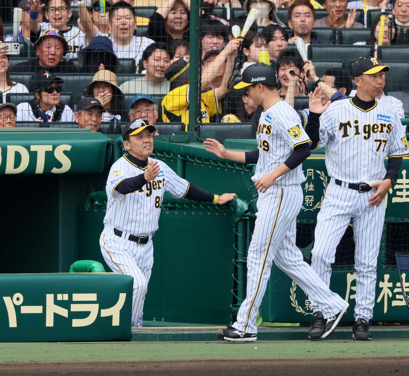阪神対中日　2回裏阪神1死満塁、岡田監督（左）は大山の左犠飛で生還した三塁走者大竹をタッチで迎える（撮影・加藤哉）