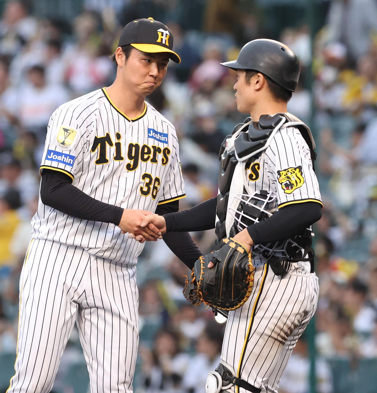 阪神対中日　試合を締めた阪神浜地（左）は捕手坂本と握手をかわす（撮影・上山淳一）