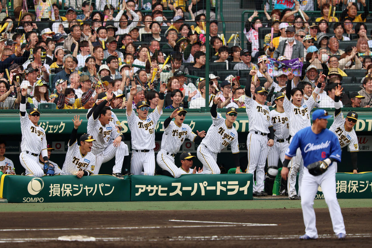 阪神対中日　2回裏阪神2死一、三塁、佐藤輝の適時二塁打に盛り上がる阪神ナイン（撮影・加藤哉）