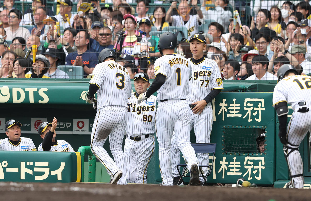 阪神対中日　6回裏阪神2死二、三塁、岡田監督（左から4人目）は前川の右前2点適時打で生還の大山（手前左）と森下（手前右）を出迎える（撮影・上山淳一）
