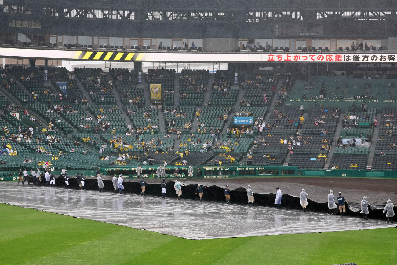 阪神対中日　雨用のシートを巻き上げる阪神園芸の職員たち（撮影・加藤哉）