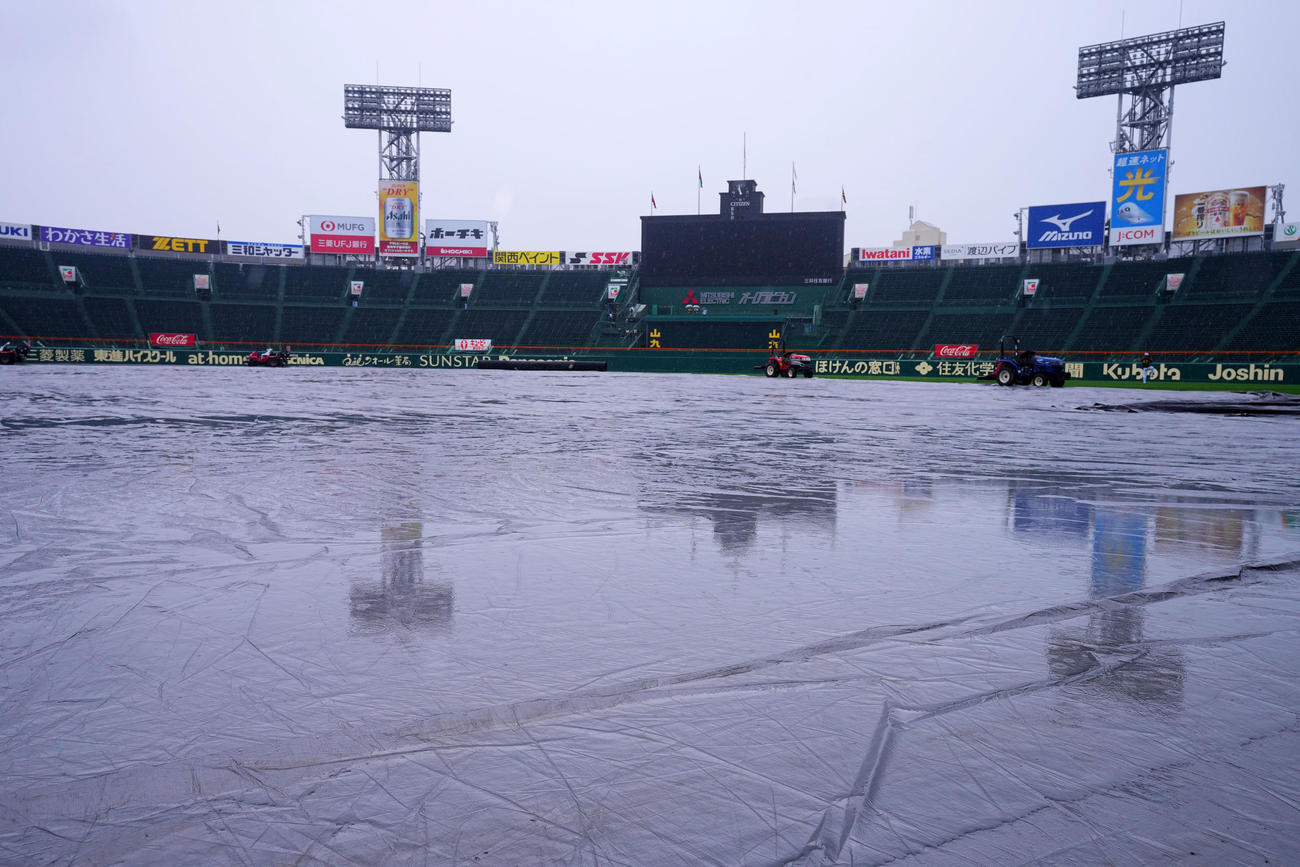 シートが張られた阪神甲子園球場（撮影・藤尾明華）