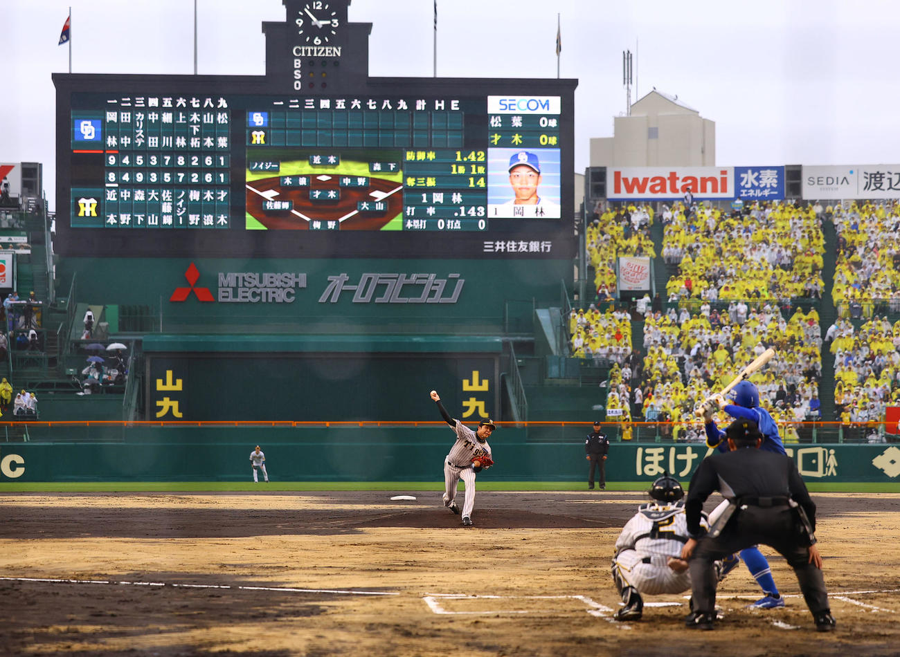 阪神対中日　土入れされたグラウンドで投球する阪神才木（撮影・藤尾明華）