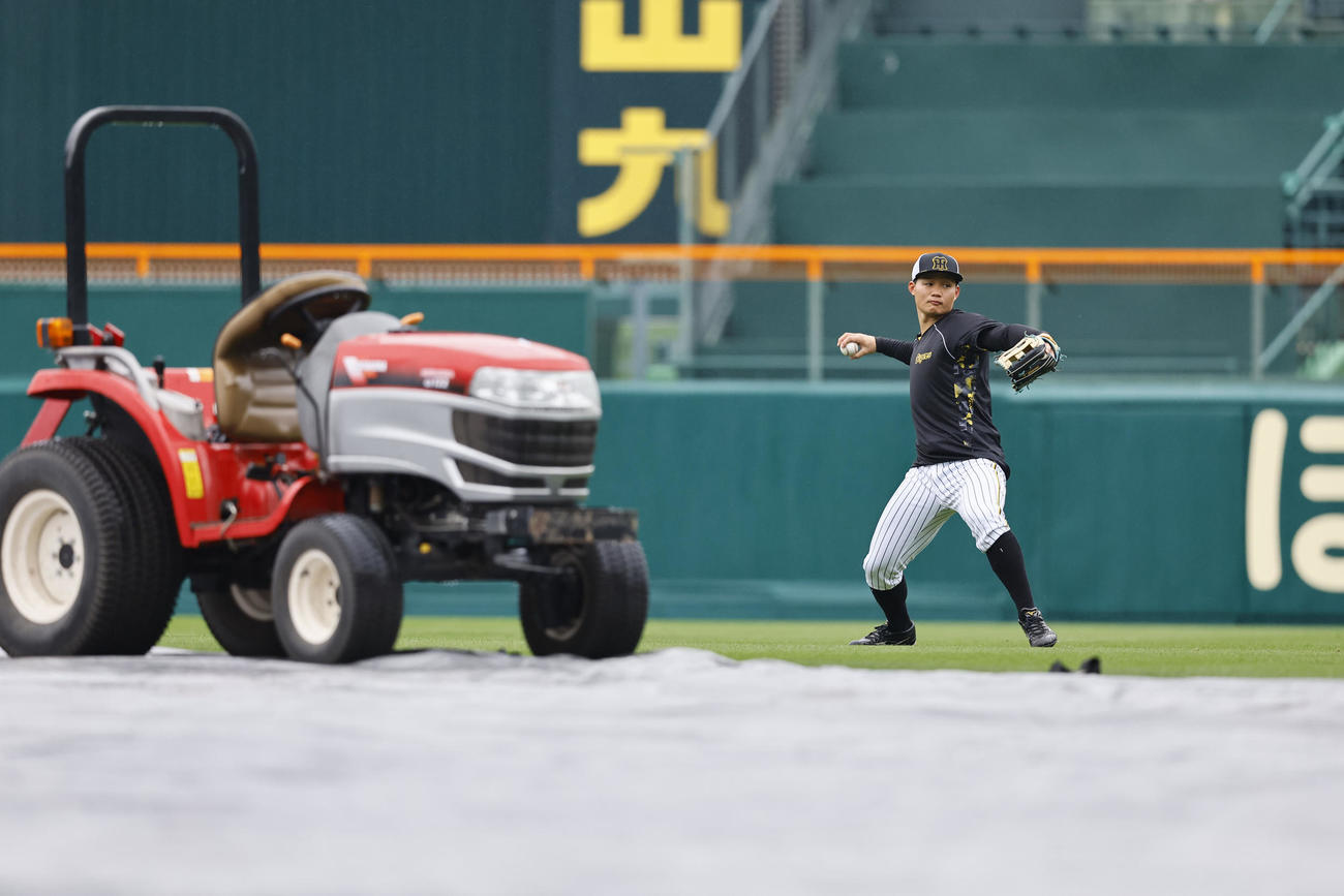 シートが張られたグラウンドの横で、キャッチボールをする阪神森下（撮影・藤尾明華）