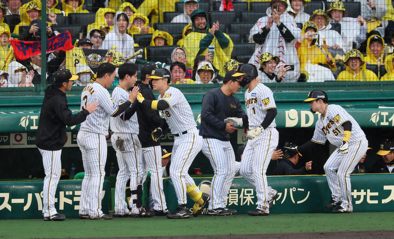 阪神対中日　6回裏阪神2死一、二塁、佐藤輝（左）は右越え3点本塁打を放ちベンチのナインとタッチする。中央は生還した一塁走者森下、右は二塁走者中野（撮影・加藤哉）