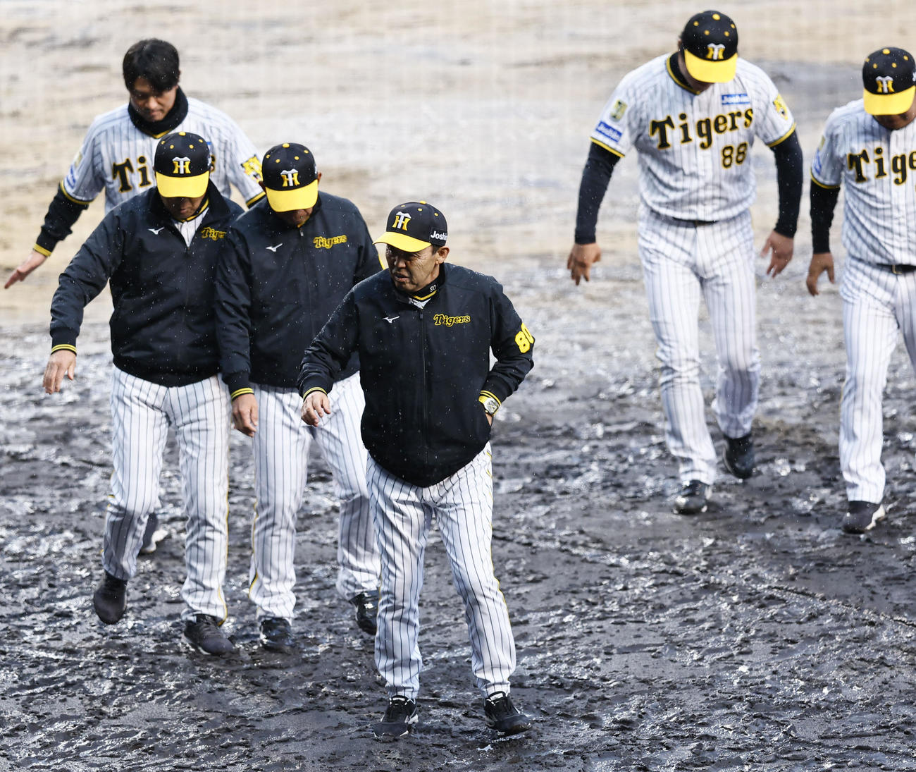 阪神対中日　ファンへのあいさつを終え、足元を気にしながら引き揚げる阪神岡田監督（手前）（撮影・藤尾明華）