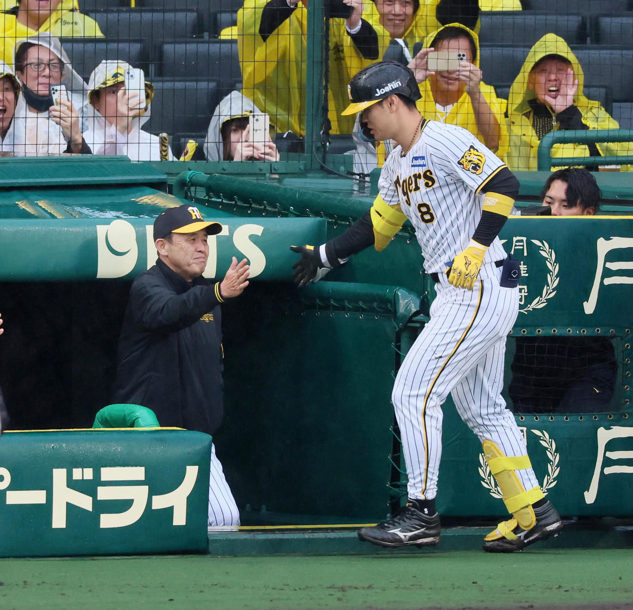 阪神対中日　6回裏阪神2死一、二塁、佐藤輝（右）は右越え3点本塁打を放ち岡田監督とタッチする（撮影・加藤哉）