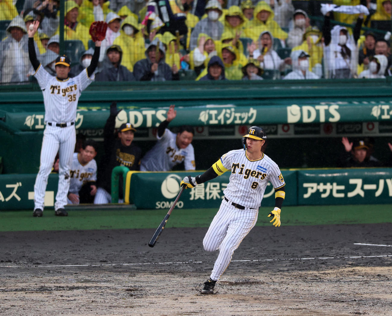 阪神対中日　6回裏阪神2死一、二塁、佐藤輝は右越え3点本塁打を放ちバットを持ったまま一塁をまわる。後方左は才木（撮影・加藤哉）