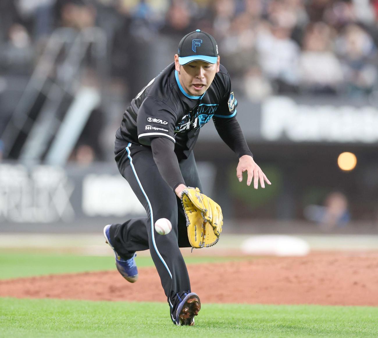 日本ハム対ロッテ　7回表ロッテ2死二、三塁、田村を投ゴロにとる加藤貴（撮影・黒川智章）