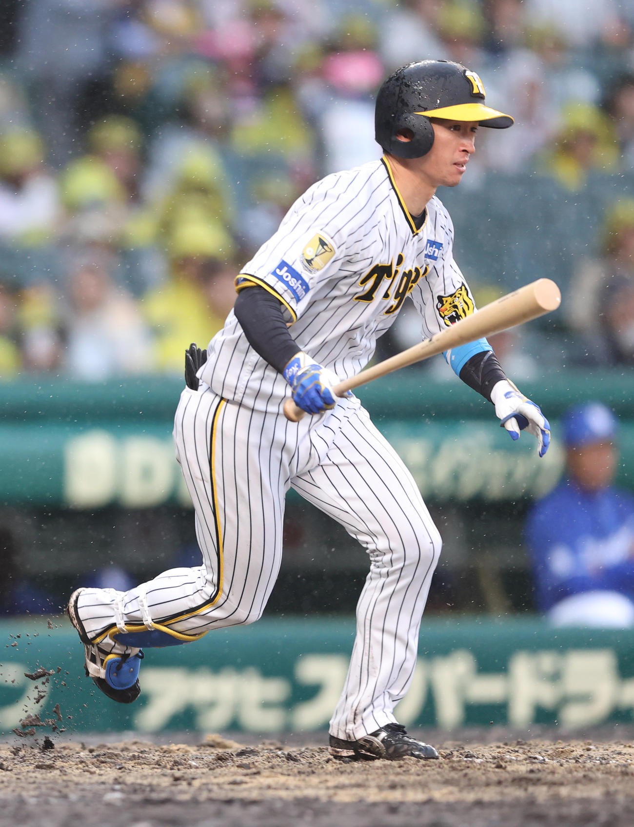 阪神対中日　3回裏阪神1死、近本は右前打を放つ（撮影・上山淳一）
