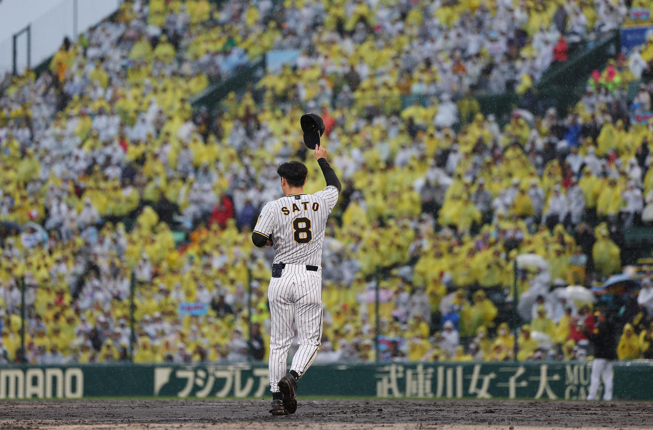 阪神対中日　7回表、スタンドのファンの声援に応える阪神佐藤輝（撮影・前田充）