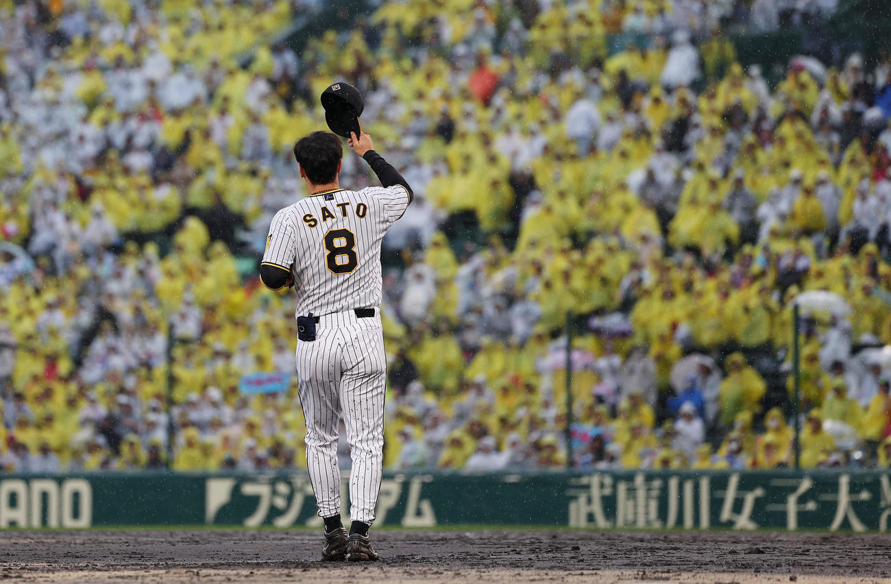 阪神対中日　7回表、スタンドのファンの声援に応える阪神佐藤輝（撮影・前田充）