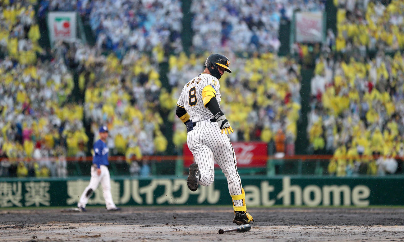 阪神対中日　6回裏阪神2死一、二塁、佐藤輝は先制の右越え3点本塁打を放ちバットを携帯しながらダイヤモンドを1周する（撮影・上山淳一）