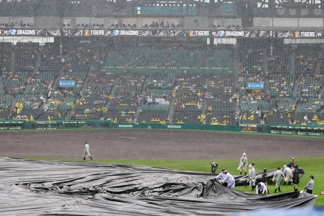 阪神対中日　雨用のシートを巻き上げる阪神園芸の職員たち（撮影・加藤哉）