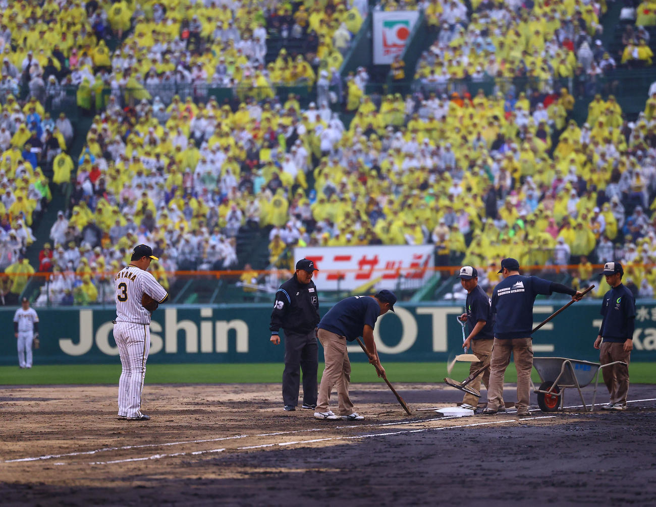 試合開始時刻に再度グラウンド整備が始まり、阪神園芸のスタッフを見つめる阪神大山（左端）（撮影・藤尾明華）