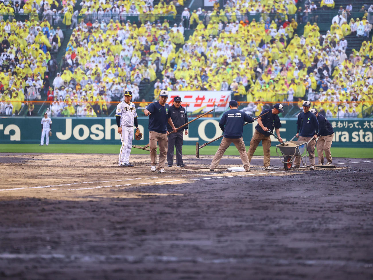 試合開始時刻に再度グラウンド整備が始まり、阪神園芸のスタッフを見つめる阪神大山（左端）（撮影・藤尾明華）