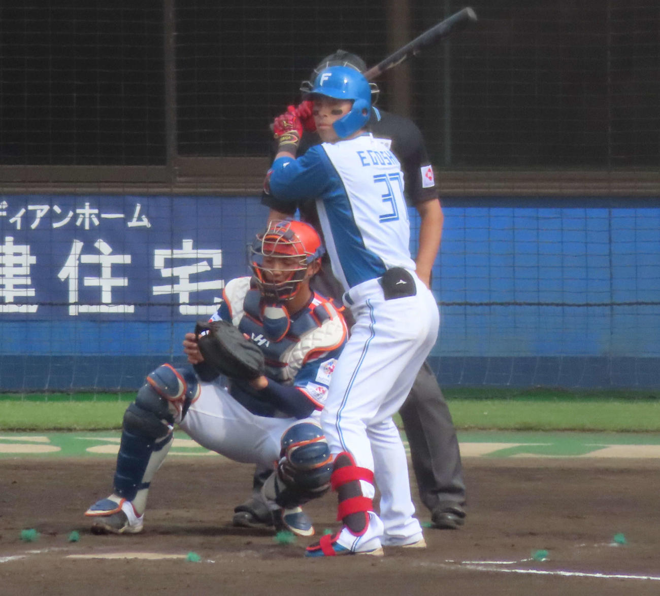 日本ハム対オイシックス　打席に立つ日本ハム江越（撮影・黒須亮）