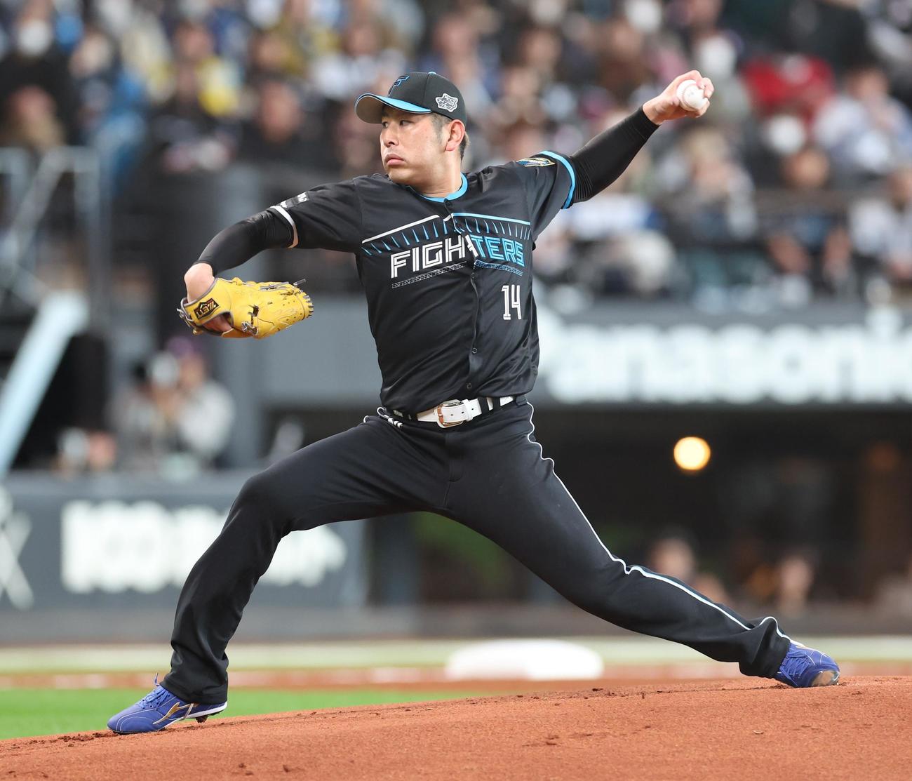 日本ハム対ロッテ　日本ハム先発の加藤貴（撮影・黒川智章）