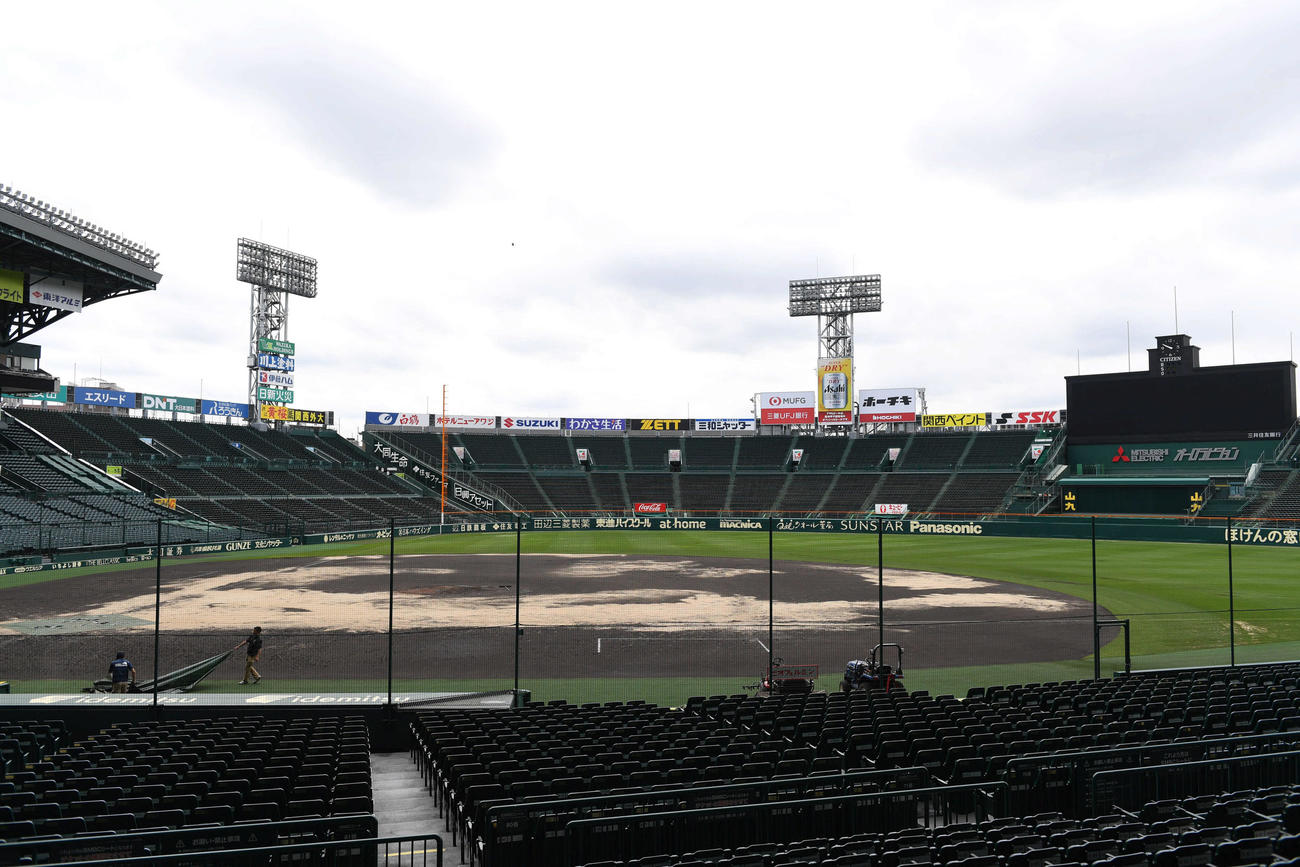 白い土が目立つ甲子園球場（撮影・前岡正明）