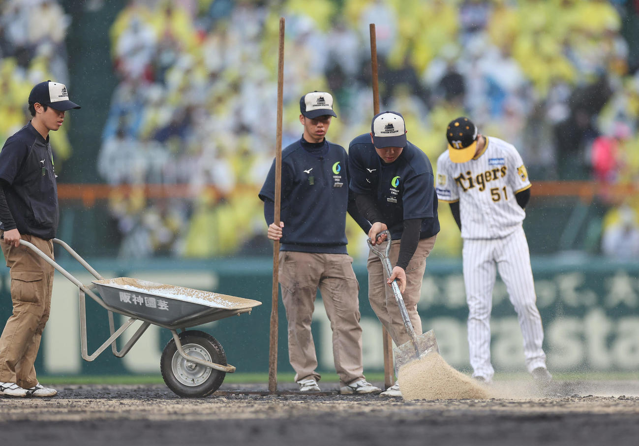 阪神対中日　4回開始前、二塁周辺に土を入れる阪神園芸の職員。右端は足元を見つめる二塁手中野（2024年4月21日撮影）