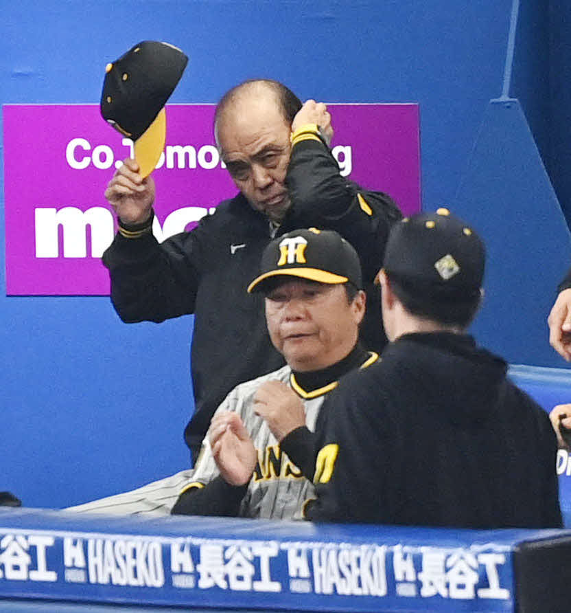 DeNA対阪神　戦況を見守りながら帽子をかぶり直す阪神岡田監督（中央）（撮影・山崎安昭）