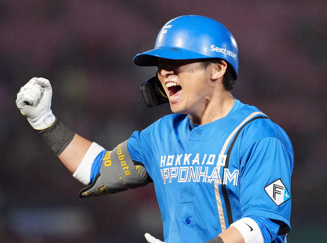 楽天対日本ハム　12回表日本ハム2死二、三塁、左前に勝ち越しの適時打を放ちポーズを決める上川畑（撮影・たえ見朱実）