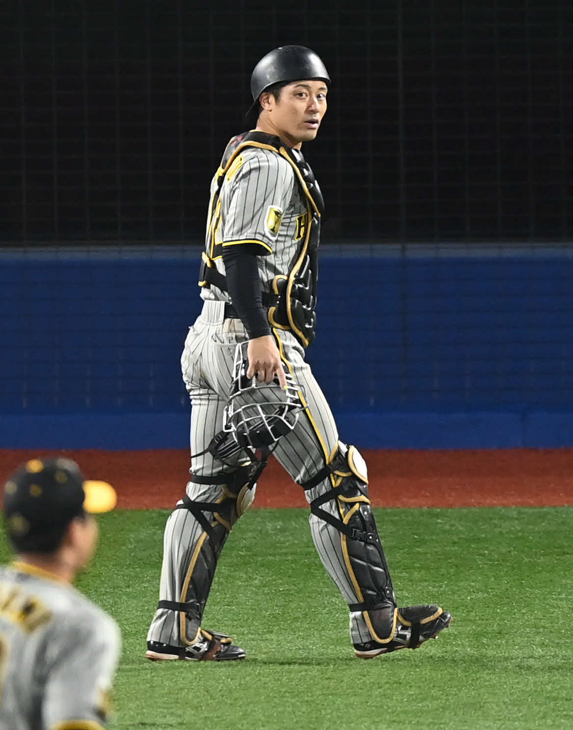 DeNA対阪神　11回裏DeNA2死二塁、飛び出していた二塁走者牧を刺してベンチに戻る坂本（撮影・山崎安昭）