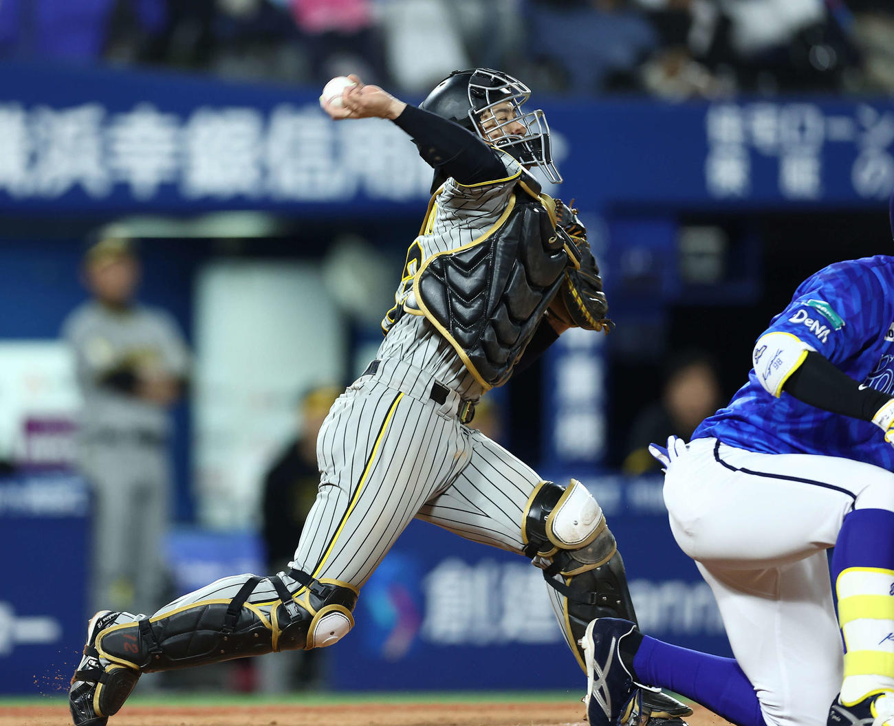 DeNA対阪神　5回裏DeNA1死一塁、二盗を試みる山本を仕留める坂本（撮影・河田真司）