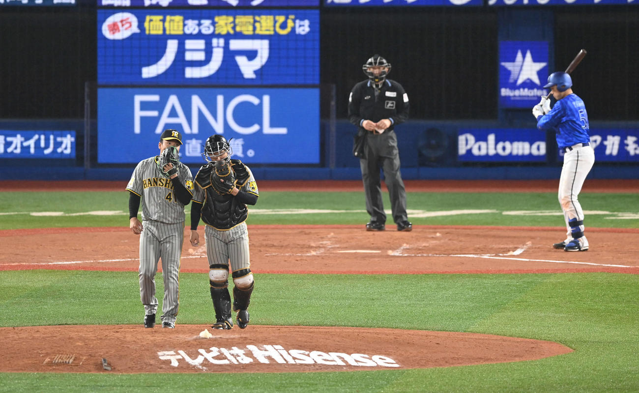 DeNA対阪神　7回裏DeNA2死二、三塁、村上（左）と坂本（左から2人目）は山本を打席に迎えた場面で話し込む（撮影・山崎安昭）