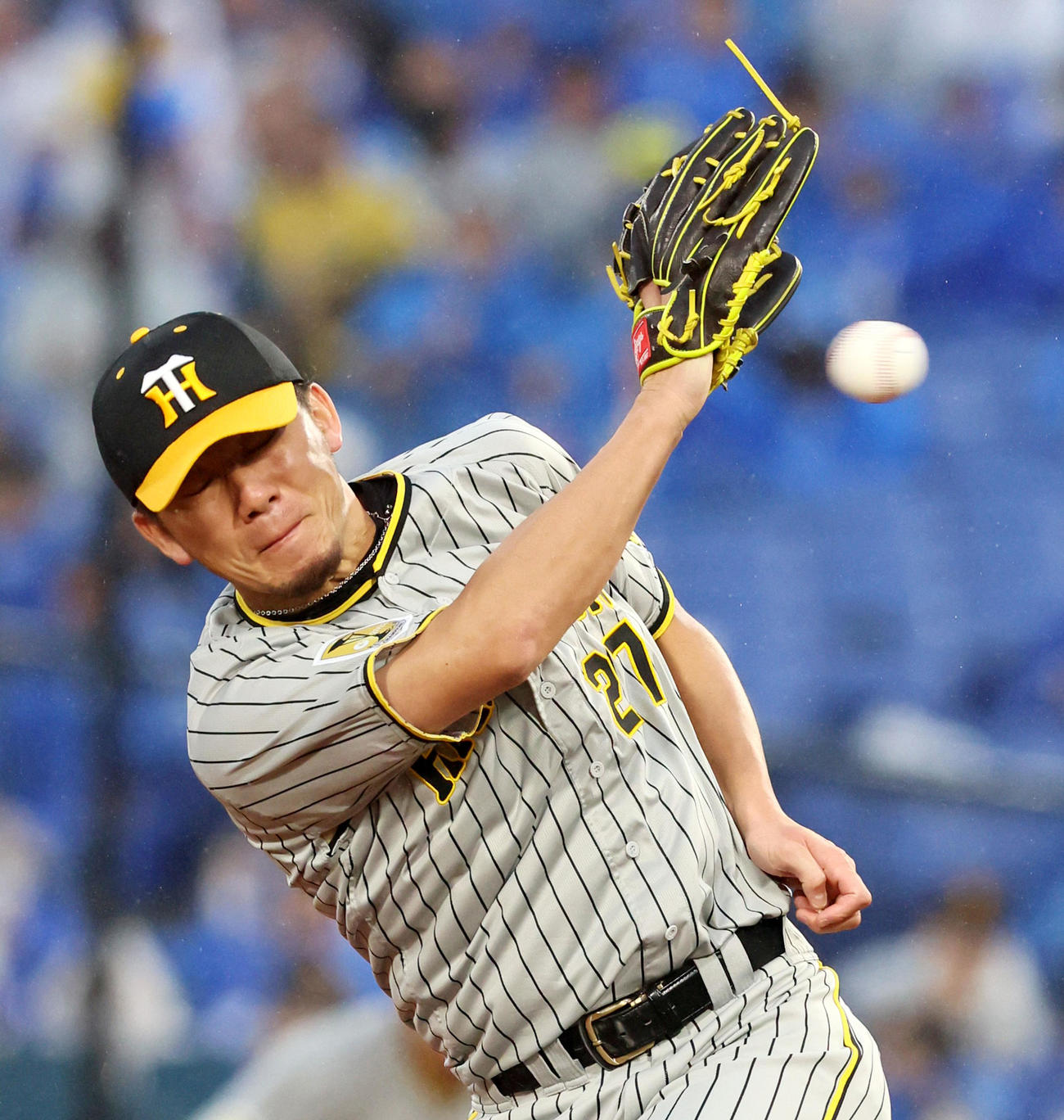 DeNA対阪神　1回裏DeNA無死、伊藤将は度会の打球を捕球する（撮影・加藤哉）