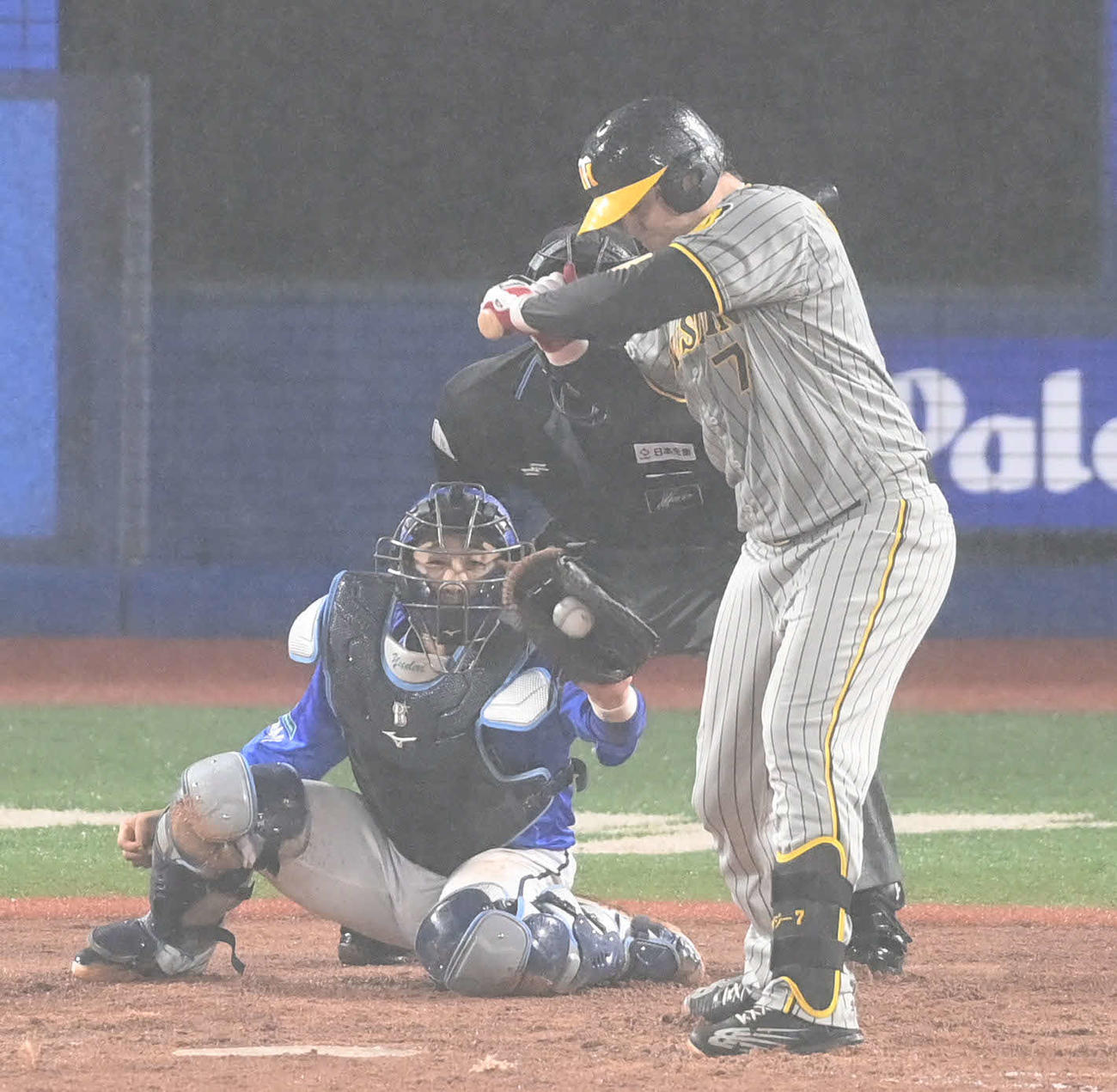 DeNA対阪神　5回表阪神2死満塁、ノイジーは押し出し四球を選ぶ（撮影・山崎安昭）
