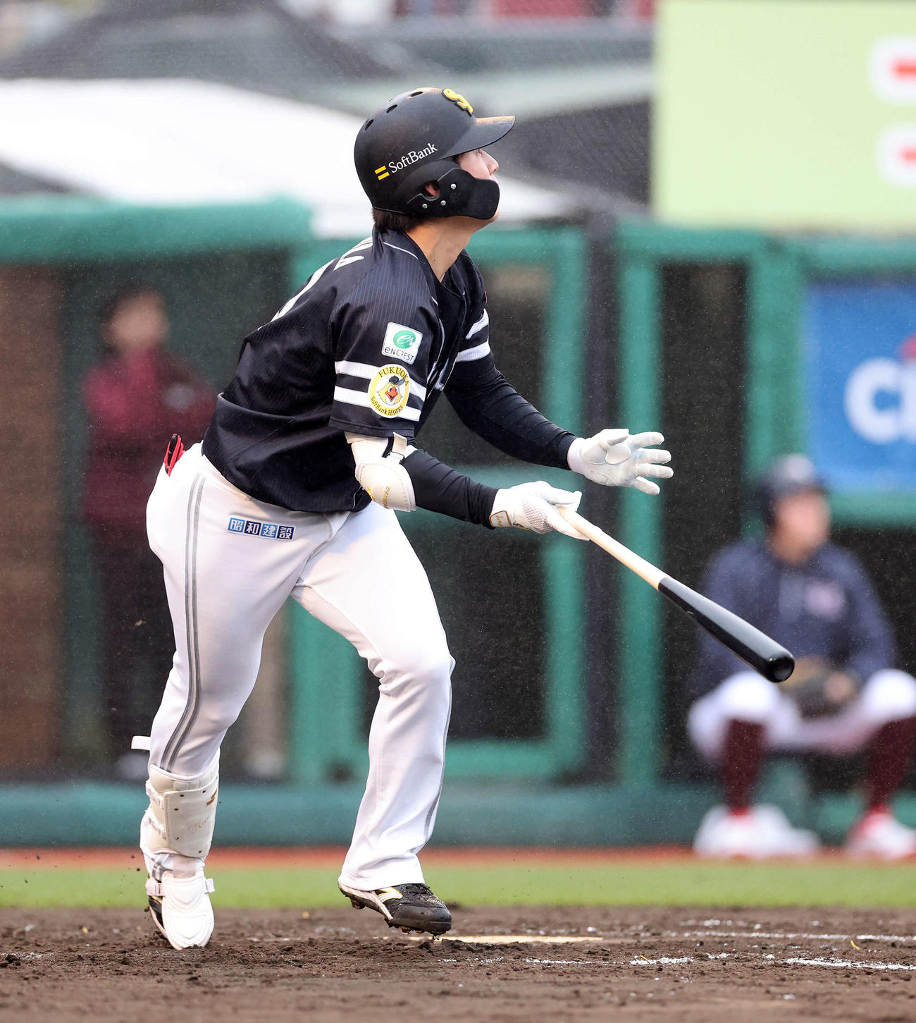 ソフトバンク川村友斗（2024年4月6日撮影）