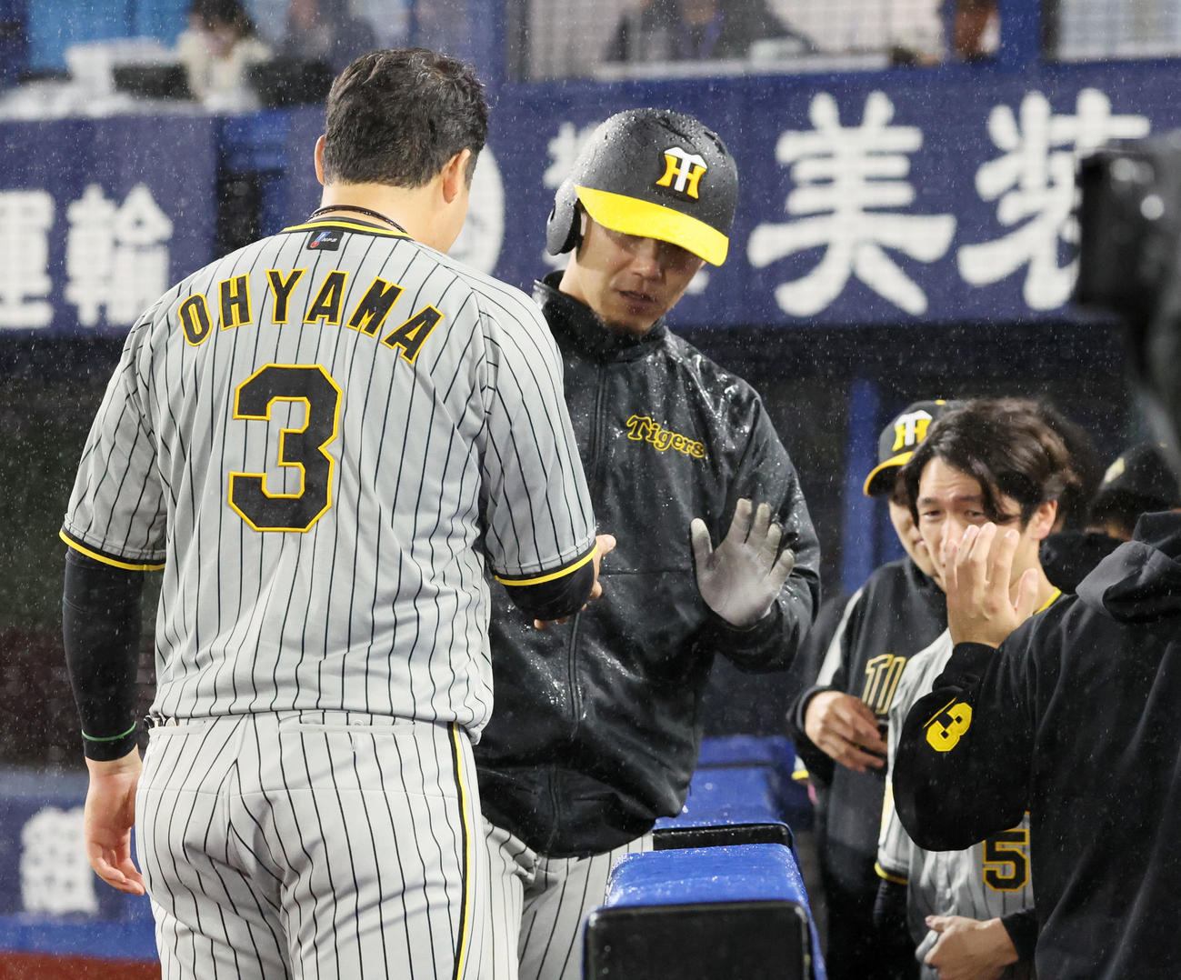 DeNA対阪神　5回表阪神2死満塁、三塁走者伊藤将はノイジーの押し出し四球で生還しベンチのナインとタッチする（撮影・加藤哉）