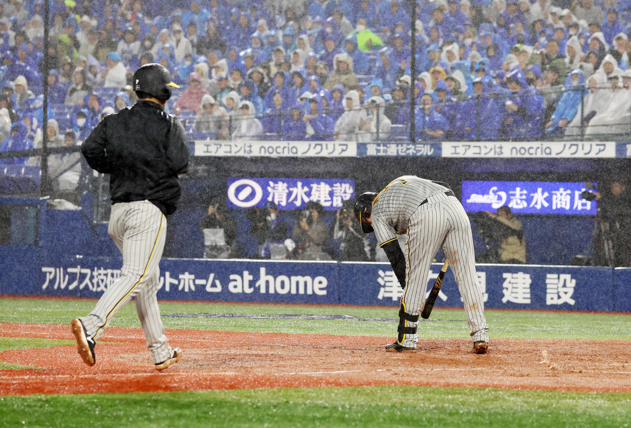 DeNA対阪神　5回表阪神2死満塁、三塁走者伊藤将はノイジーの押し出し四球で生還（撮影・加藤哉）
