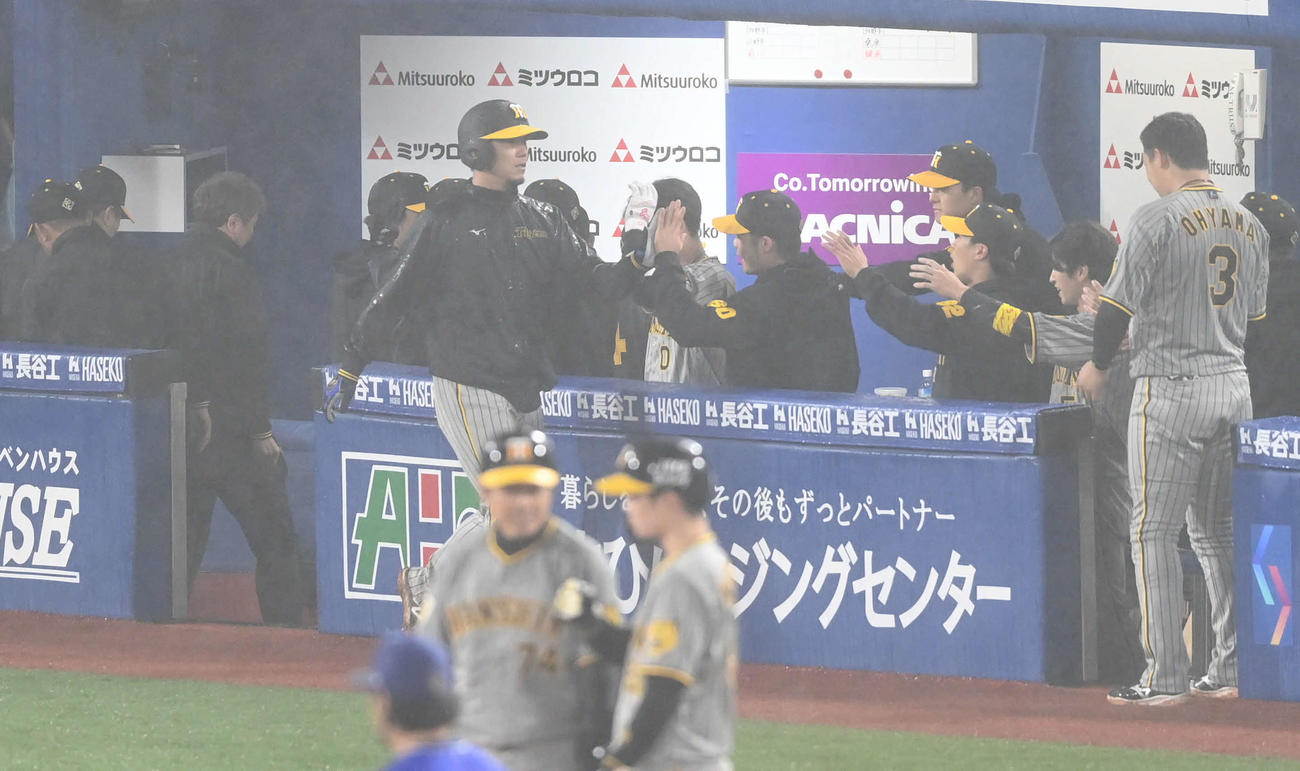 DeNA対阪神　5回表阪神2死満塁、ノイジーの押し出し四球で生還した伊藤将（中央）はチームメートとタッチを交わす（撮影・山崎安昭）