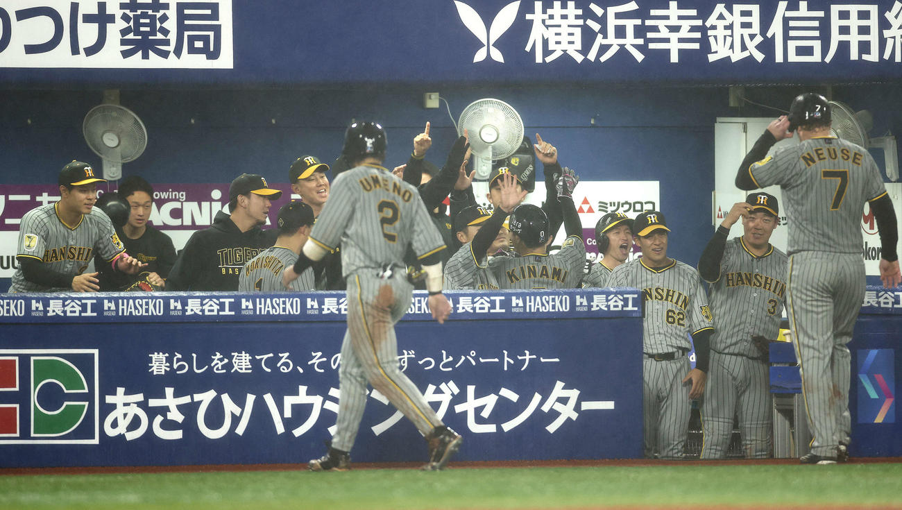 DeNA対阪神　9回表に逆転し、ノイジー（右）と木浪（右から5人目）を迎えるチームメート（撮影・河田真司）