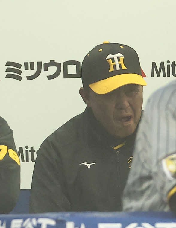 DeNA対阪神　2回表、戦況を見守る阪神岡田監督（撮影・河田真司）