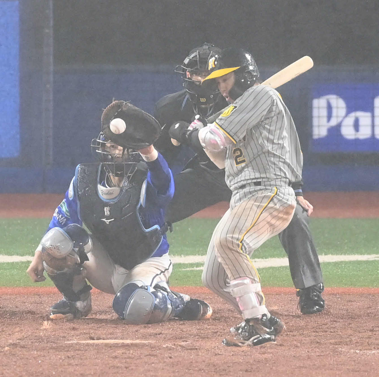DeNA対阪神　9回表阪神2死二、三塁、梅野は四球を選ぶ（撮影・山崎安昭）