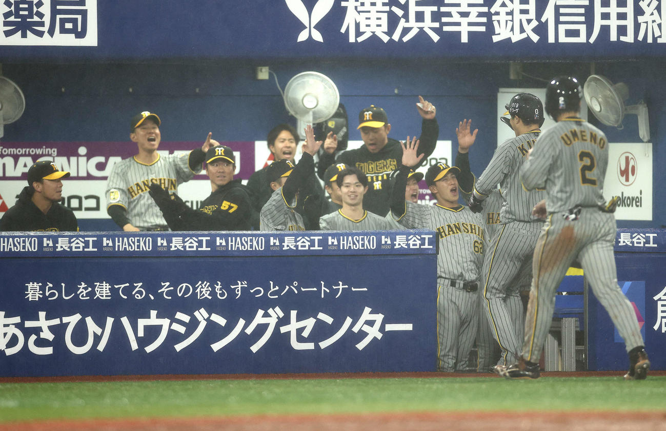 DeNA対阪神　9回表に逆転し、梅野（右）と木浪を迎えるチームメート（撮影・河田真司）
